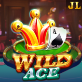 Wild Ace 365 login download apk
